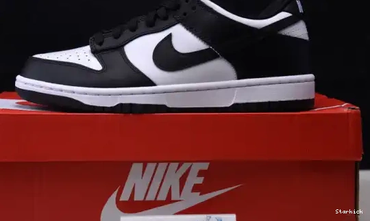 Low Nike (2021) White Dunk Black Retro DD1391-100 0618